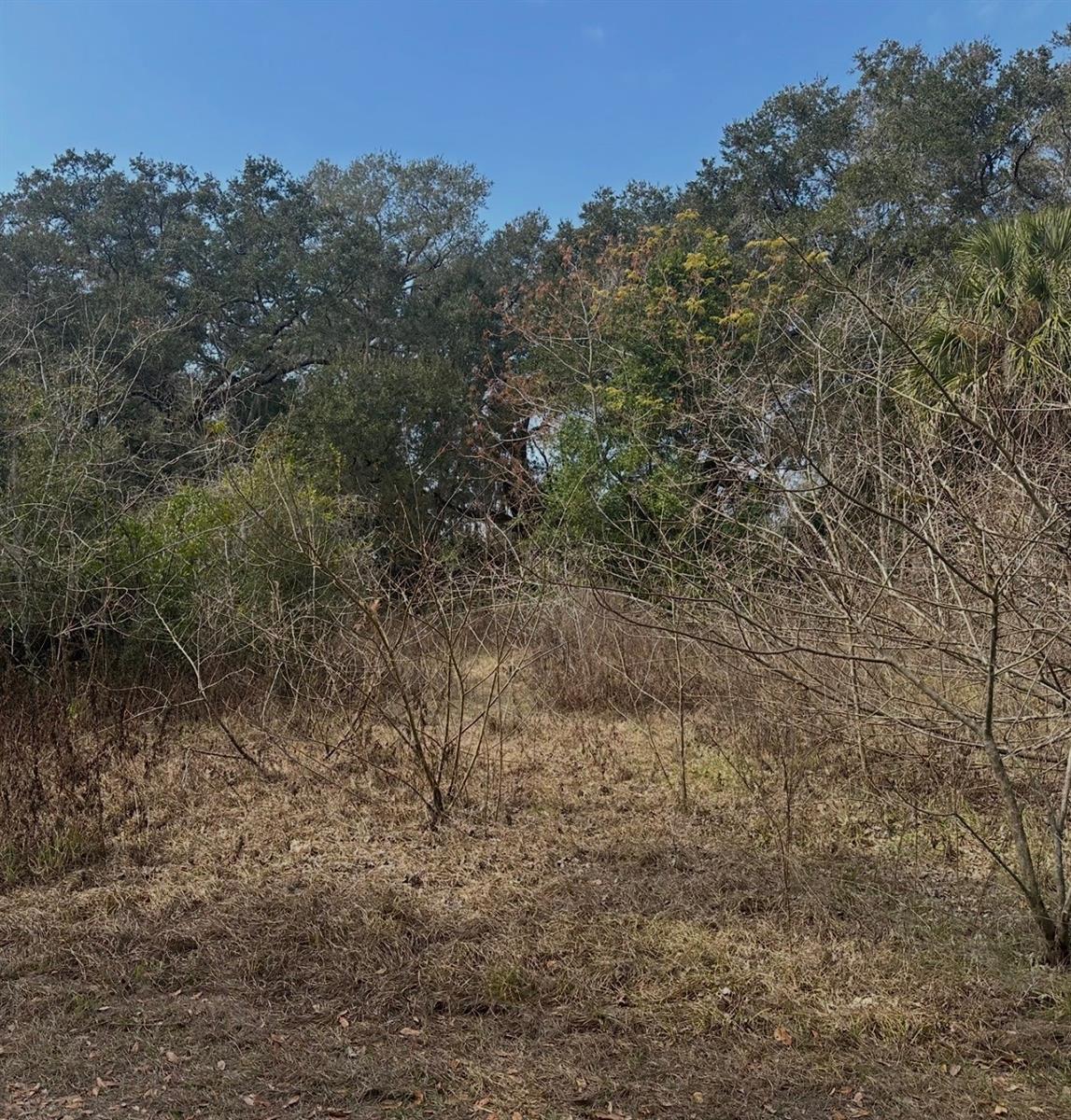 16644 SE 134TH TER, WEIRSDALE, FL, 32195