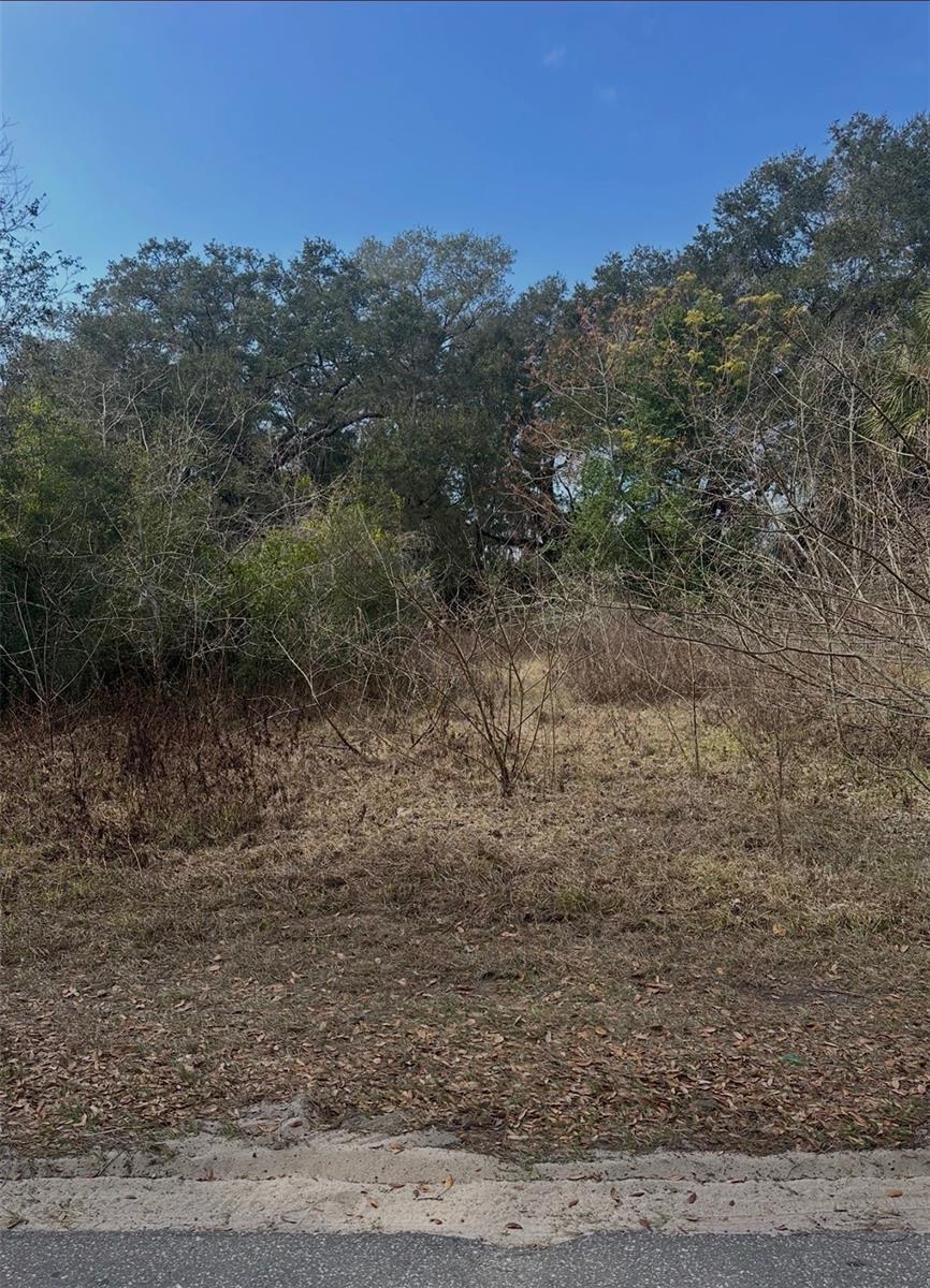 16644 SE 134TH TER, WEIRSDALE, FL, 32195