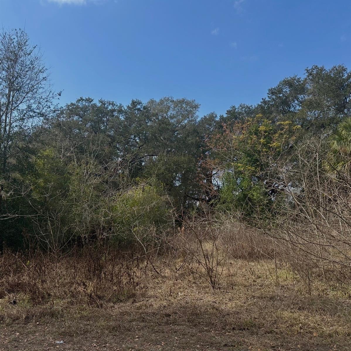 16644 SE 134TH TER, WEIRSDALE, FL, 32195