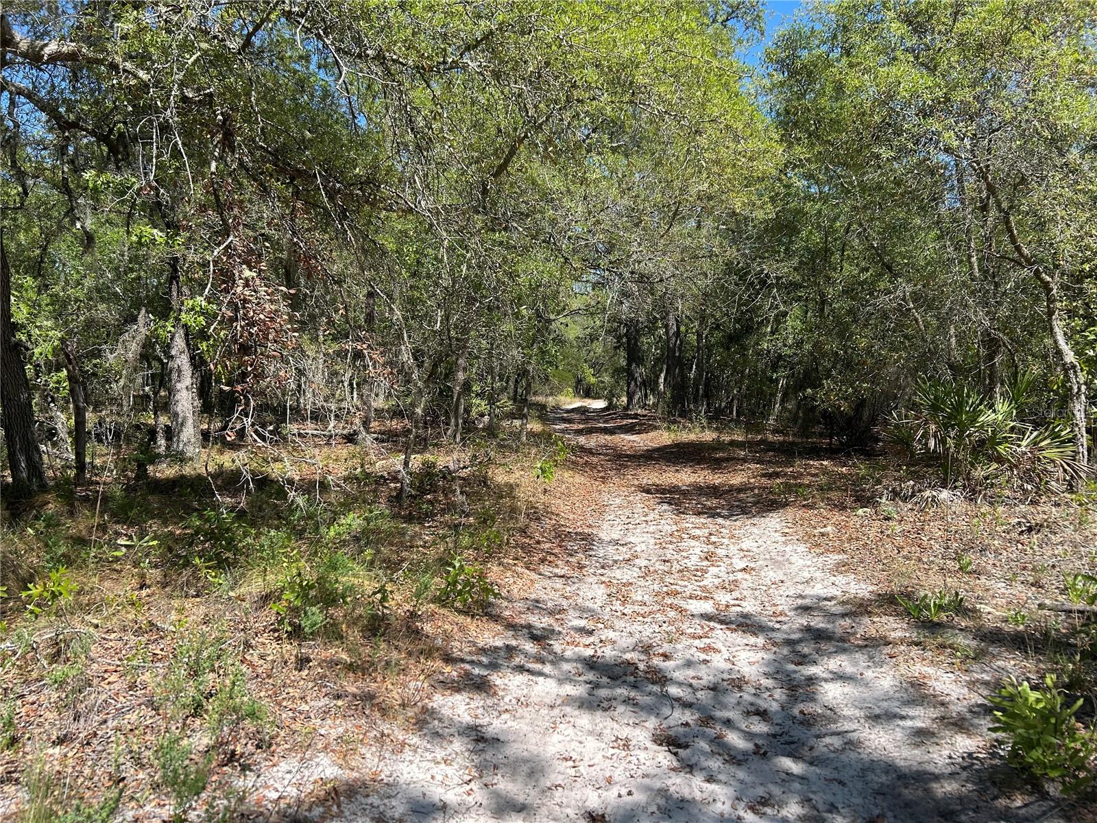 TBD SE 62ND, MORRISTON, FL, 32668