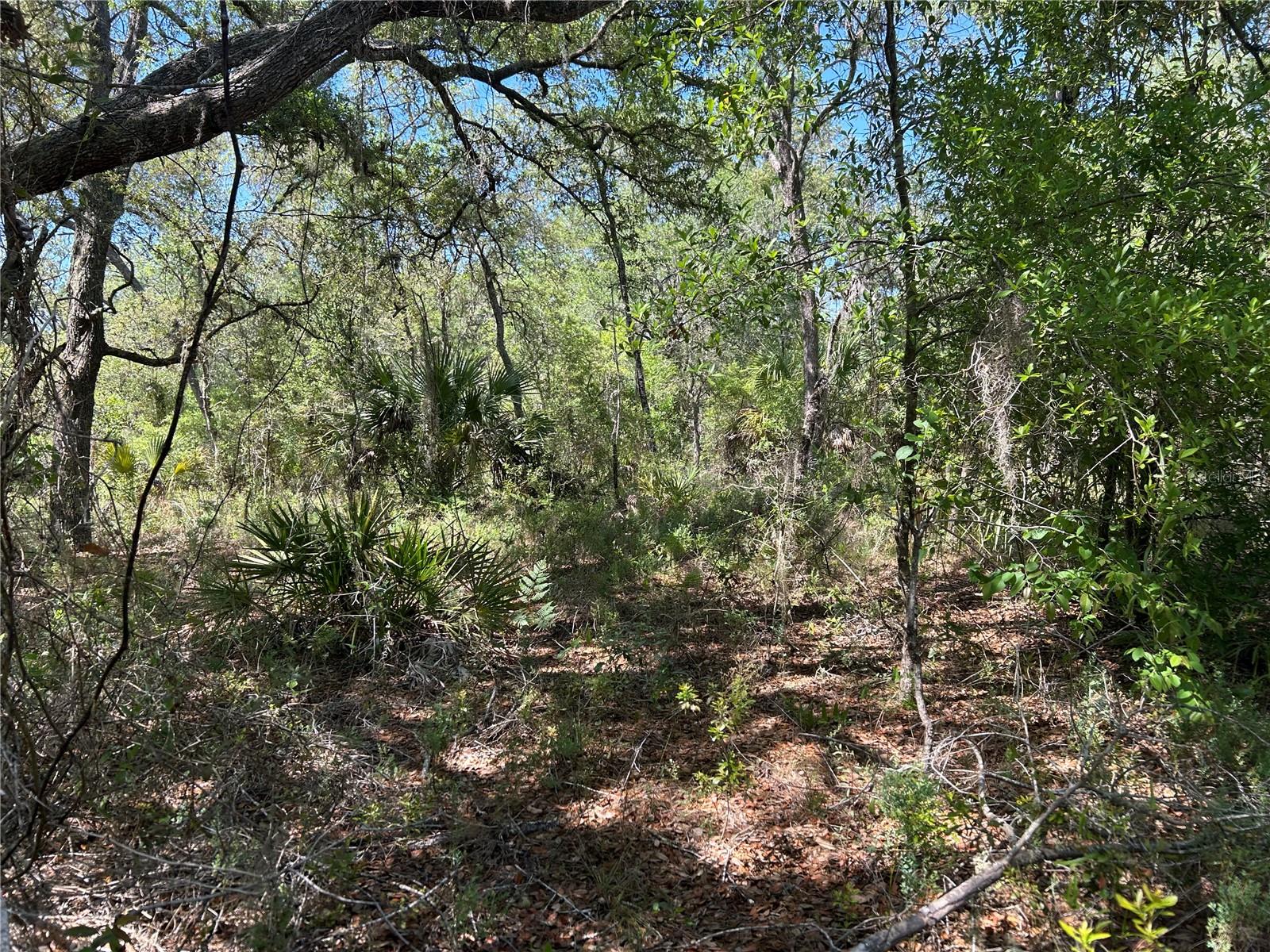 TBD SE 62ND, MORRISTON, FL, 32668