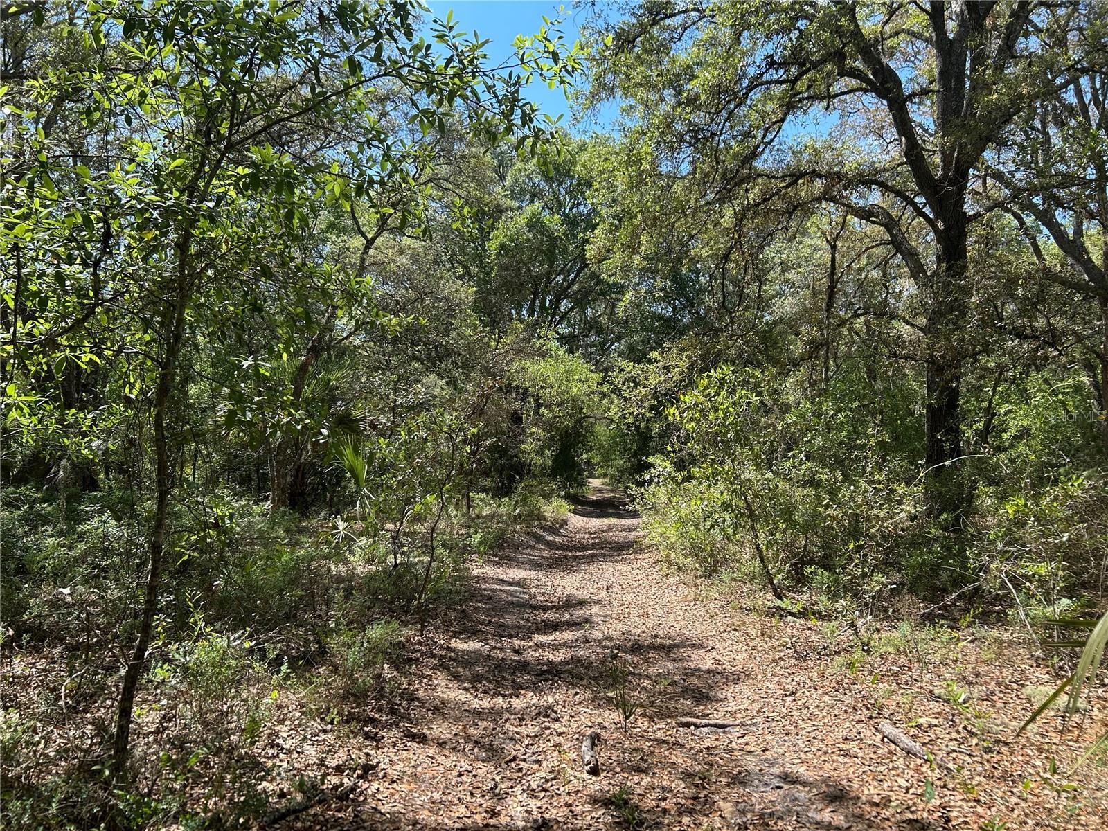 TBD SE 62ND, MORRISTON, FL, 32668