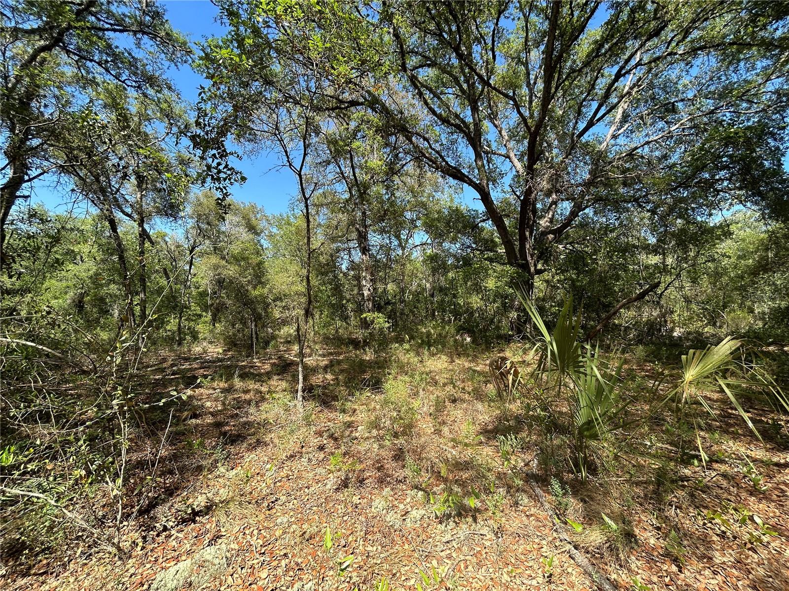 TBD SE 62ND, MORRISTON, FL, 32668