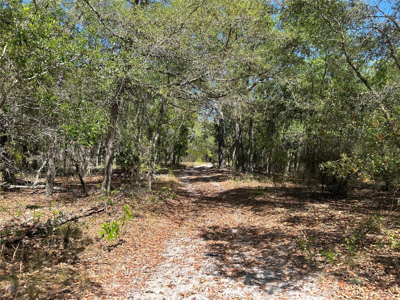 TBD SE 62ND, MORRISTON, FL, 32668