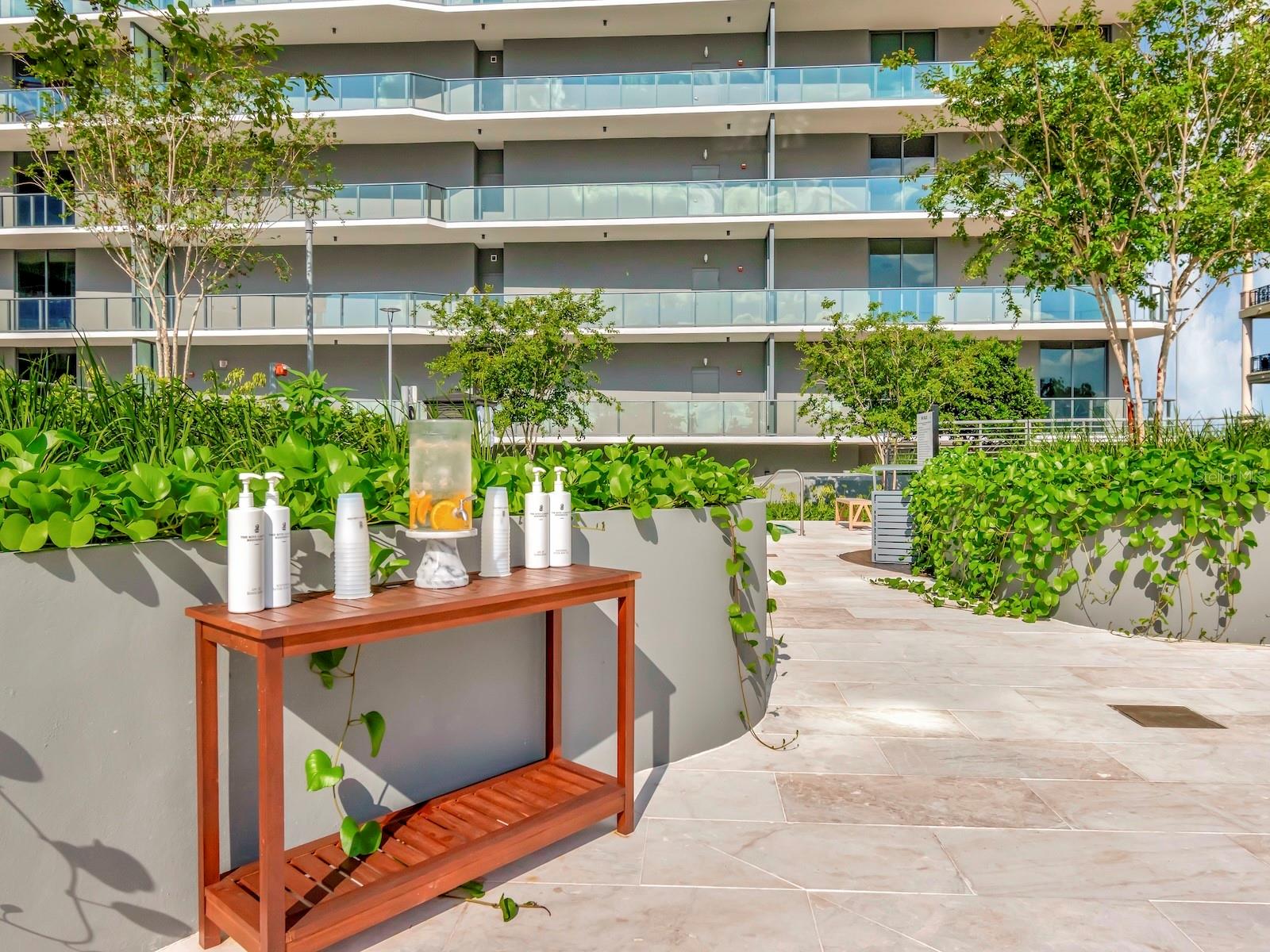 3101 W BAYSHORE BLVD #402, TAMPA, FL, 33629