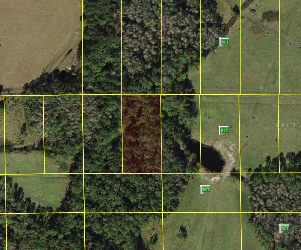 POLK CITY, POLK CITY, FL, 33868