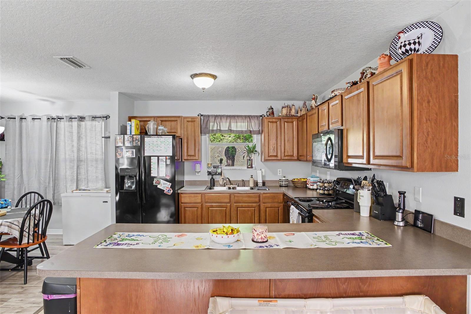 1886 LAUREL AVE, BUNNELL, FL, 32110