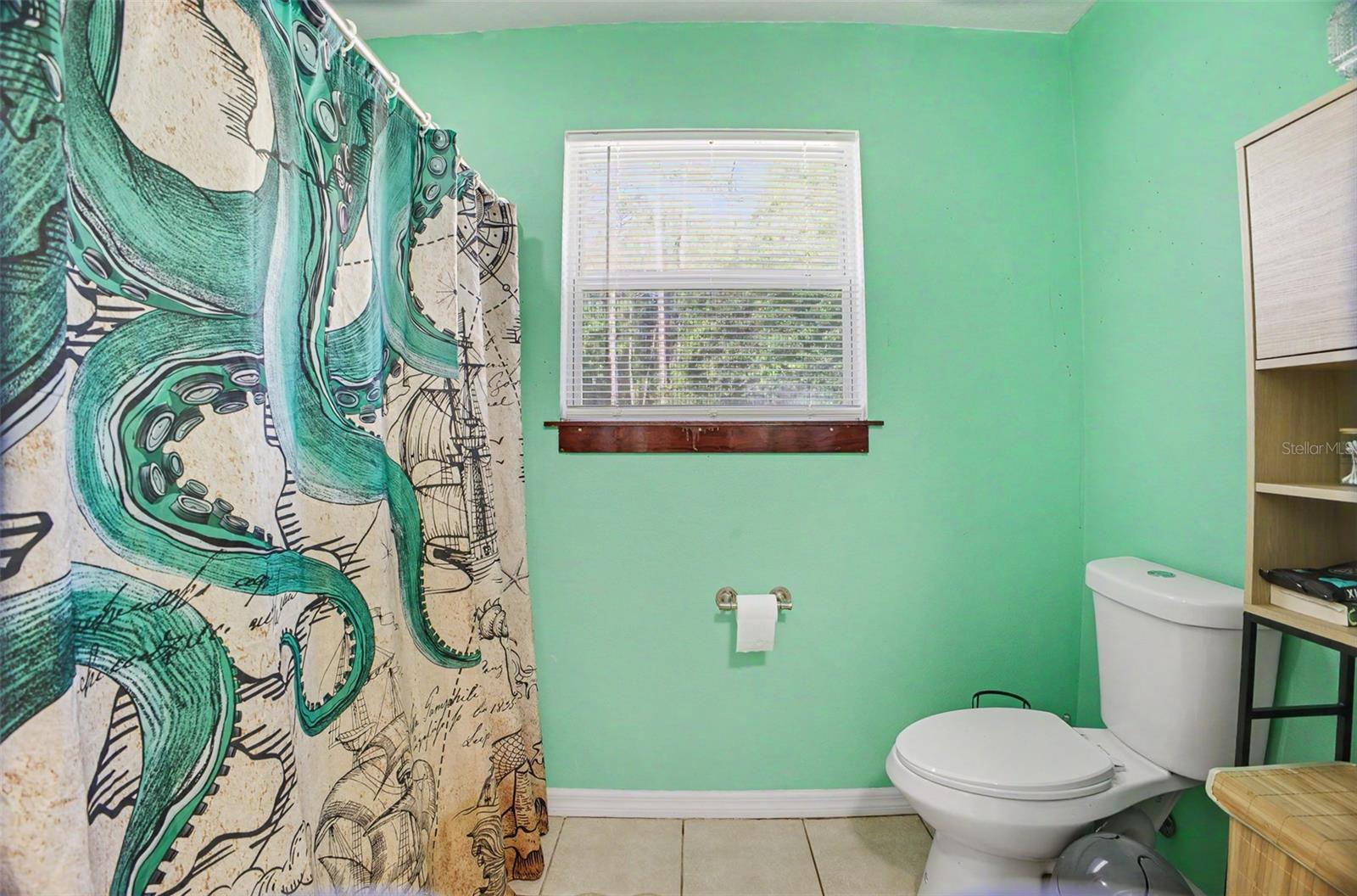 1886 LAUREL AVE, BUNNELL, FL, 32110