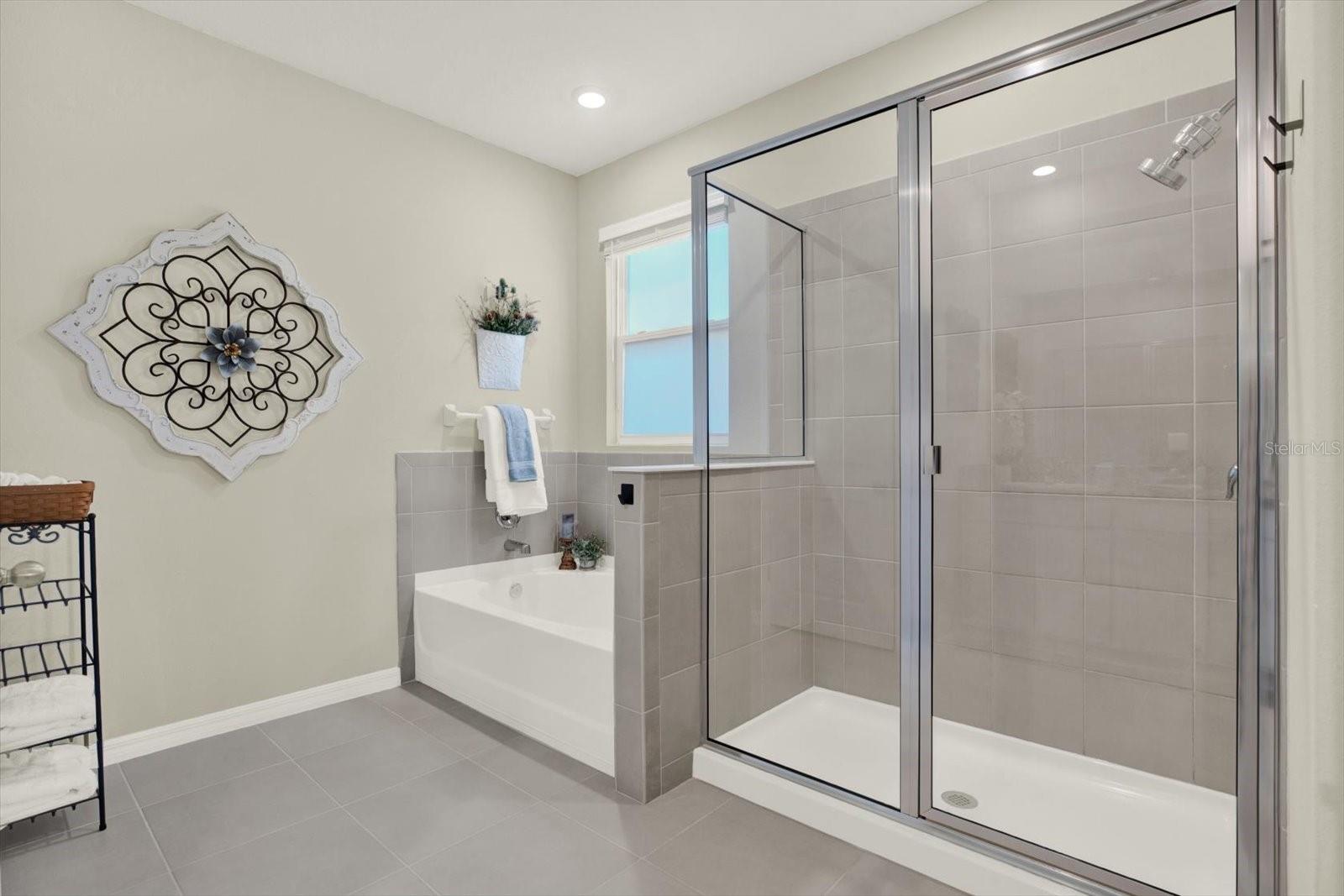 10186 SHORELINE VIEW WAY, WESLEY CHAPEL, FL, 33545