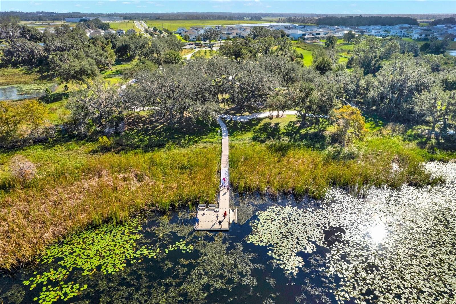 10186 SHORELINE VIEW WAY, WESLEY CHAPEL, FL, 33545