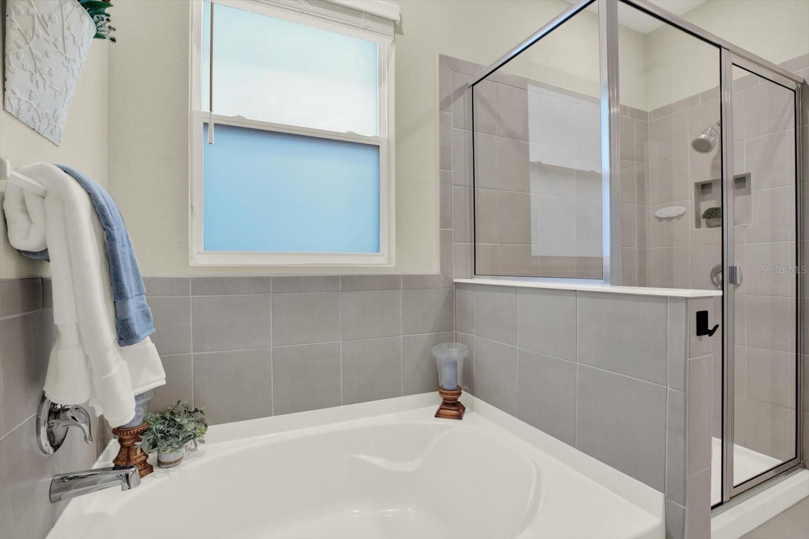 10186 SHORELINE VIEW WAY, WESLEY CHAPEL, FL, 33545