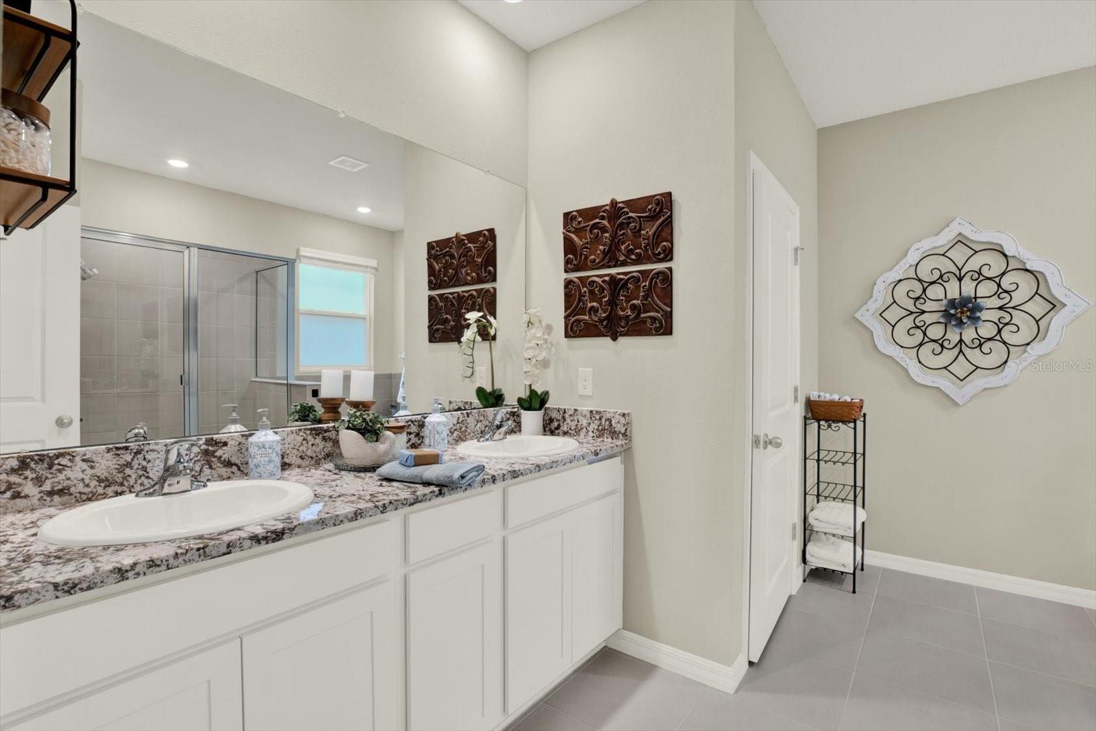 10186 SHORELINE VIEW WAY, WESLEY CHAPEL, FL, 33545