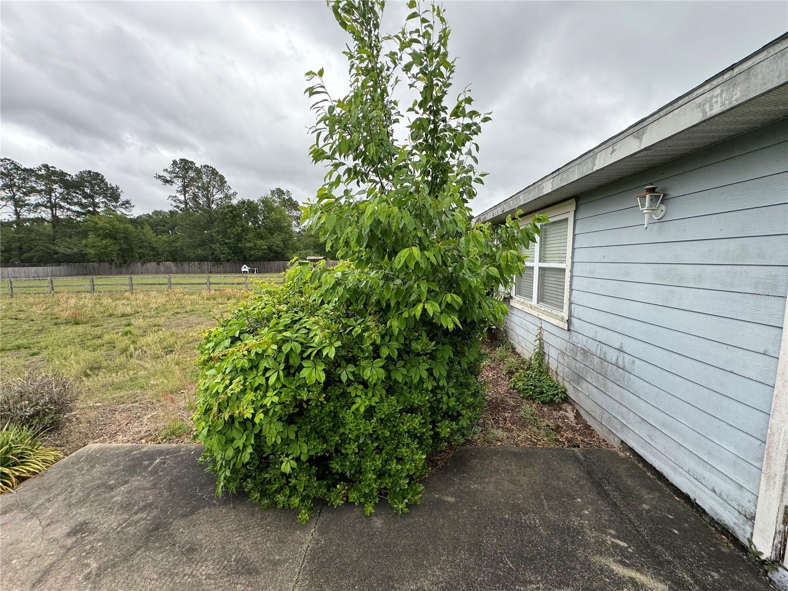 9590 SW 98TH AVE, GAINESVILLE, FL, 32608