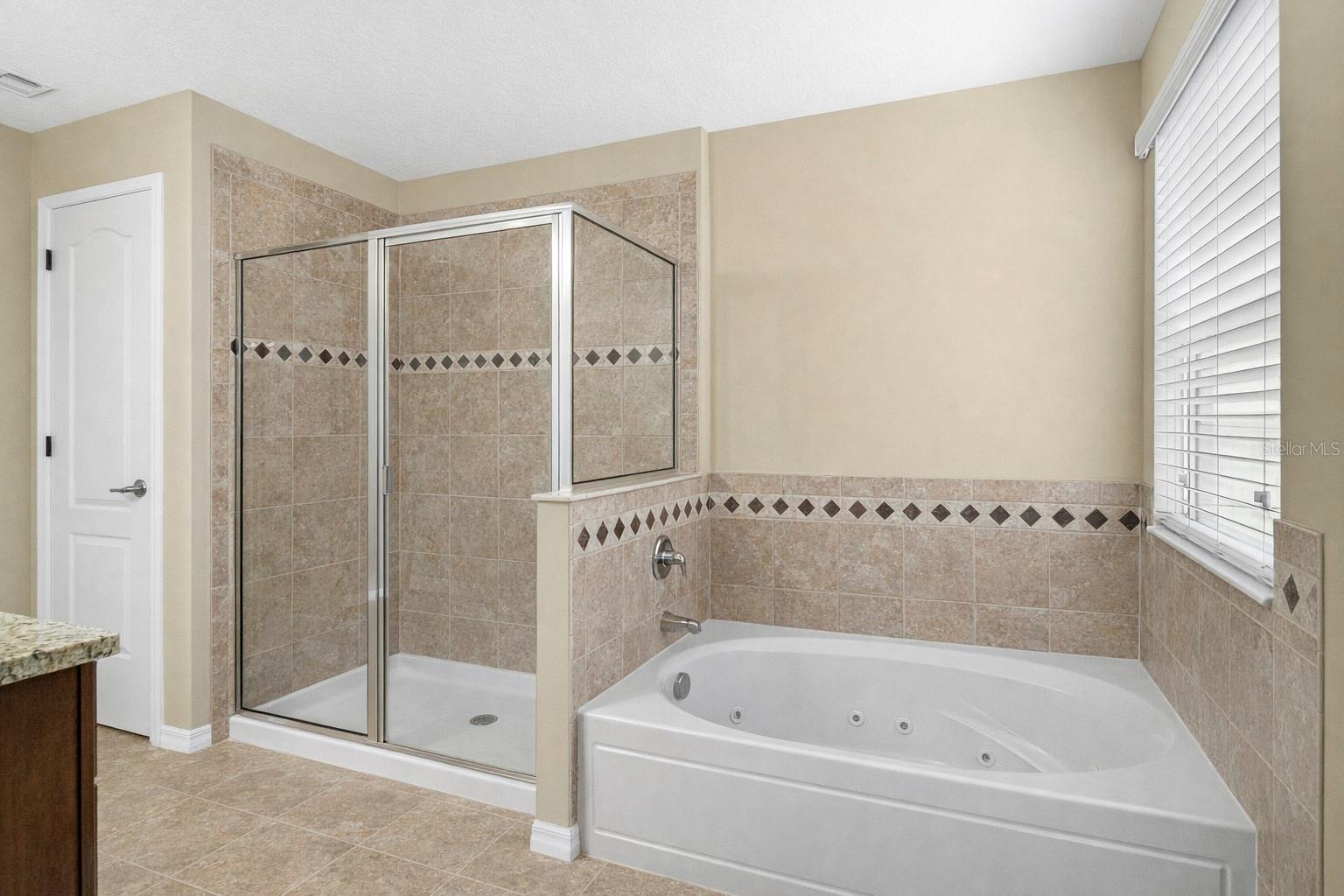 1772 LEATHER FERN DR, OCOEE, FL, 34761