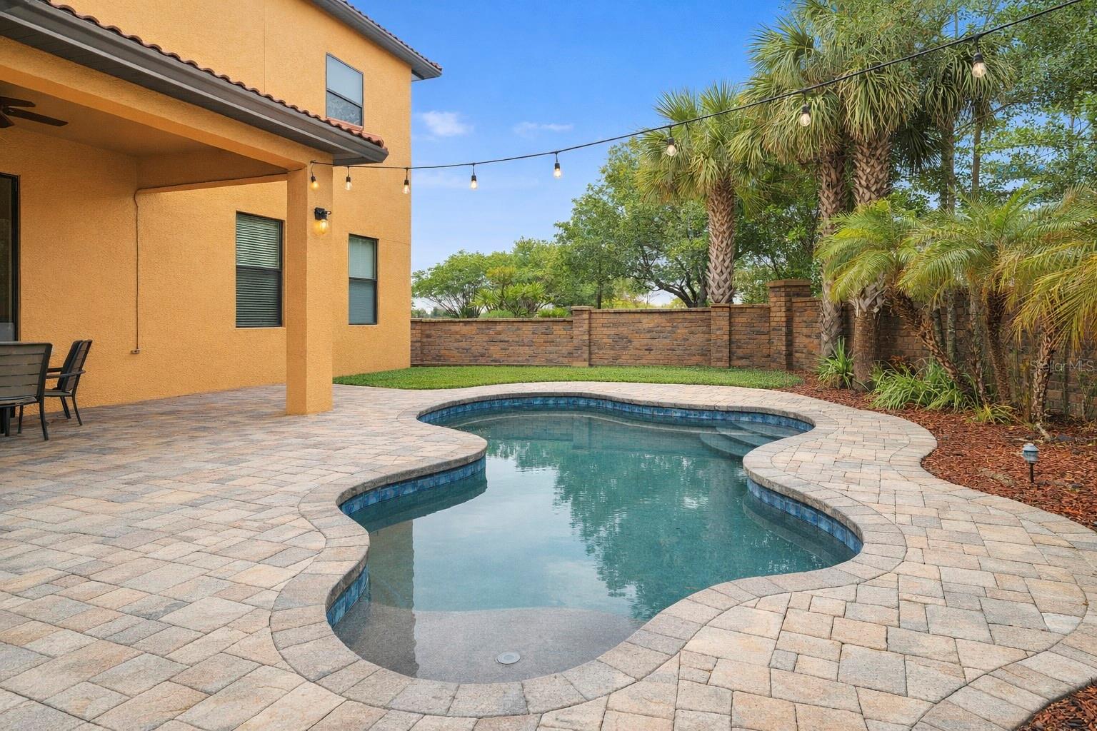 1772 LEATHER FERN DR, OCOEE, FL, 34761