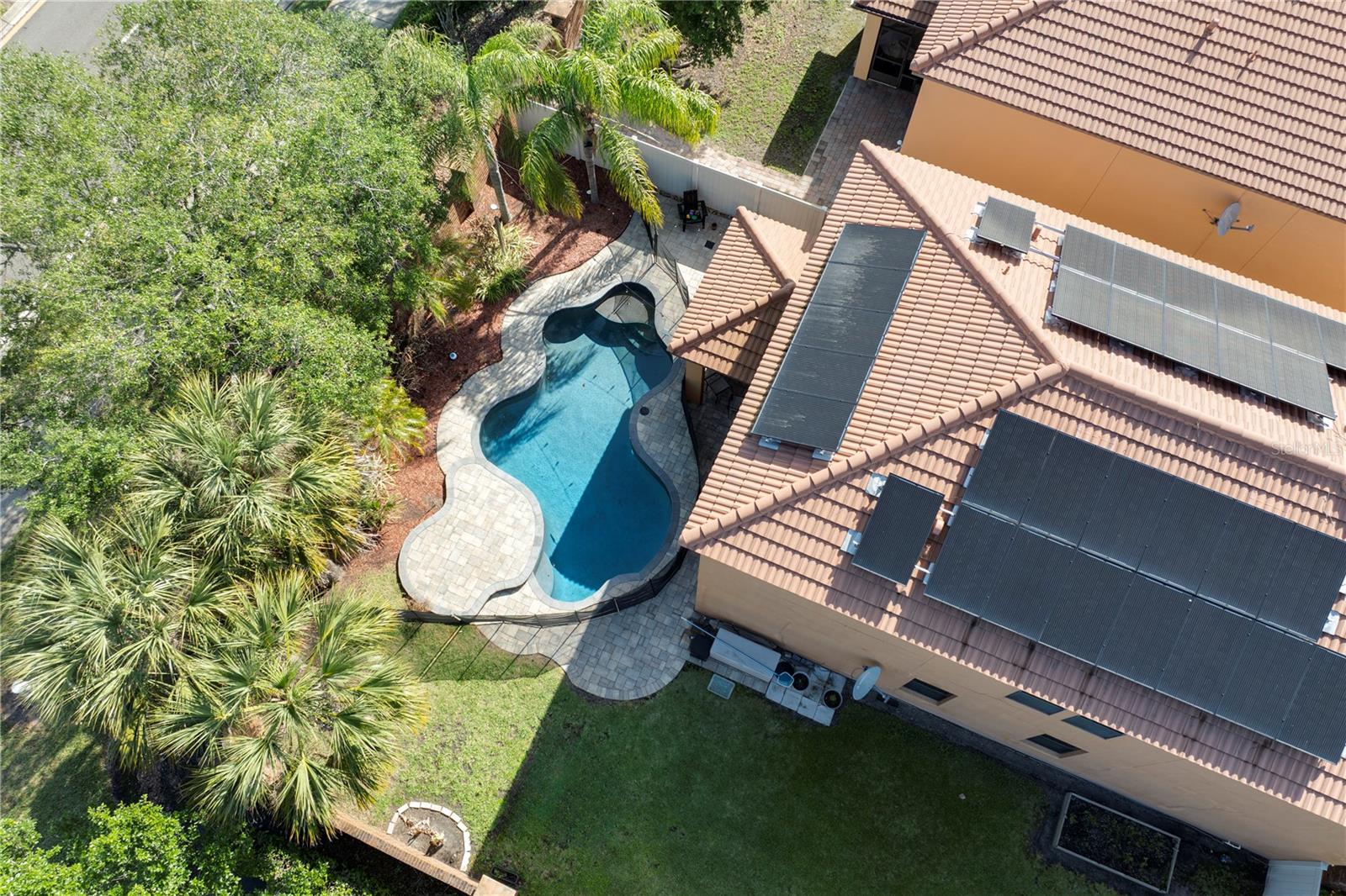 1772 LEATHER FERN DR, OCOEE, FL, 34761