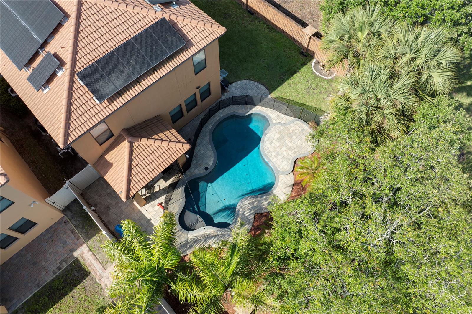 1772 LEATHER FERN DR, OCOEE, FL, 34761