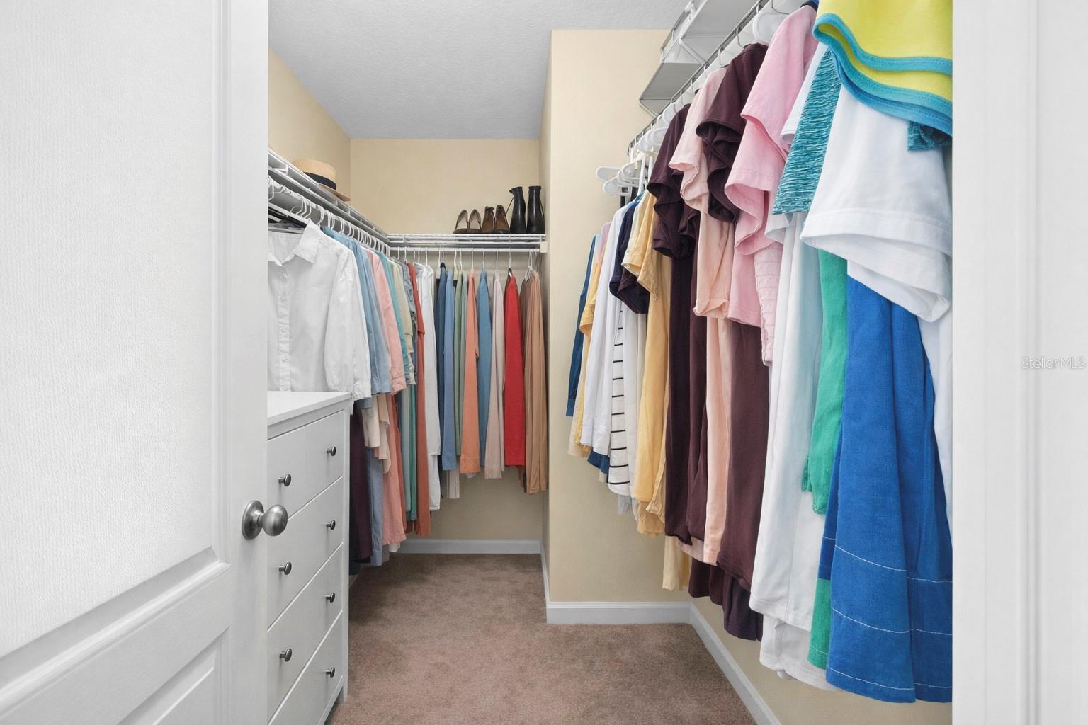 1772 LEATHER FERN DR, OCOEE, FL, 34761