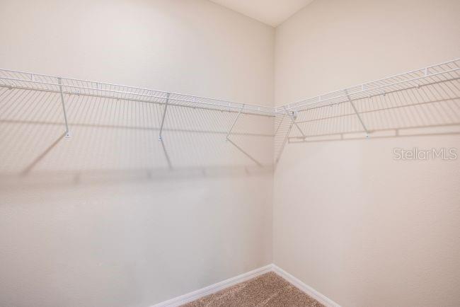 TBD SW 128TH PL, OCALA, FL, 34473