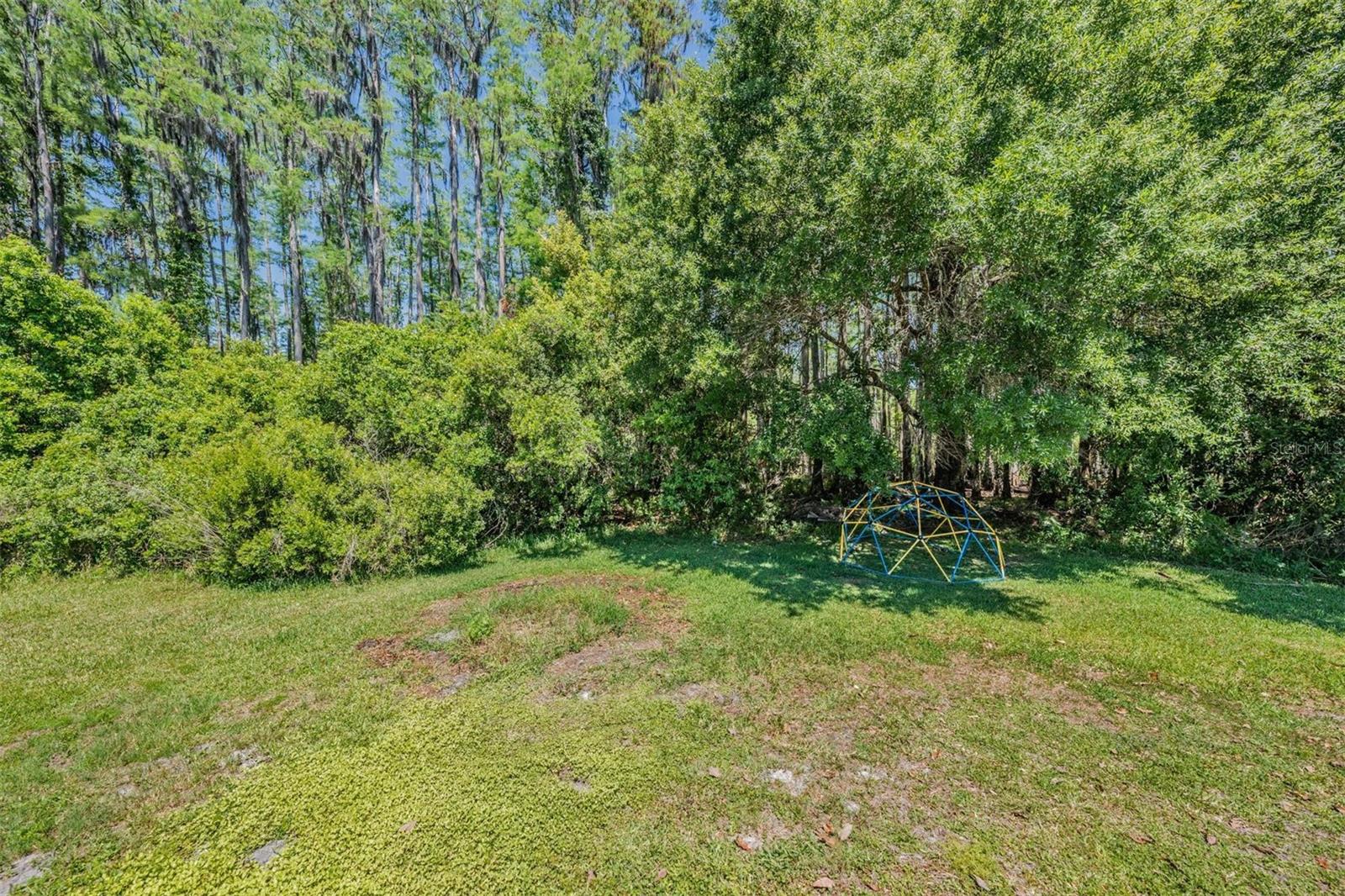 19545 POST ISLAND LOOP, LAND O LAKES, FL, 34638