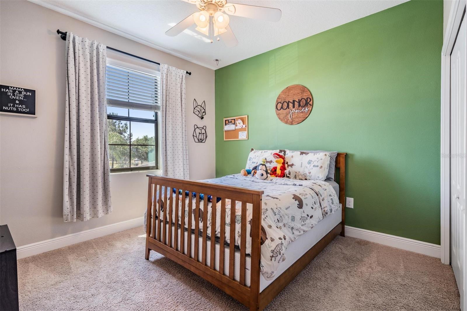 19545 POST ISLAND LOOP, LAND O LAKES, FL, 34638