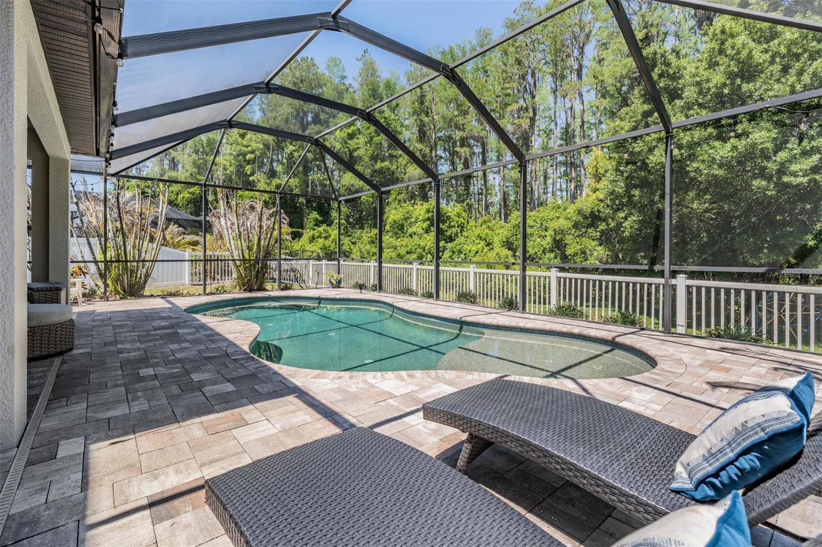 19545 POST ISLAND LOOP, LAND O LAKES, FL, 34638