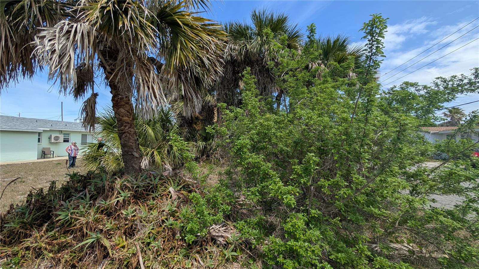 1710 S ATLANTIC AVE, NEW SMYRNA BEACH, FL, 32169