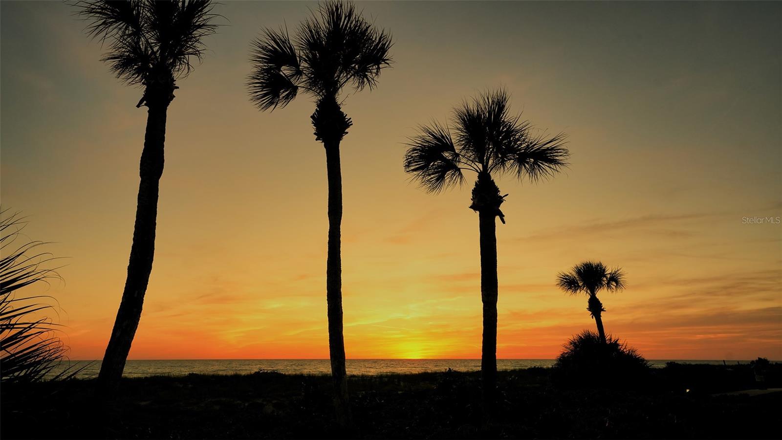 2045 GULF OF MEXICO DR #M1-511, LONGBOAT KEY, FL, 34228