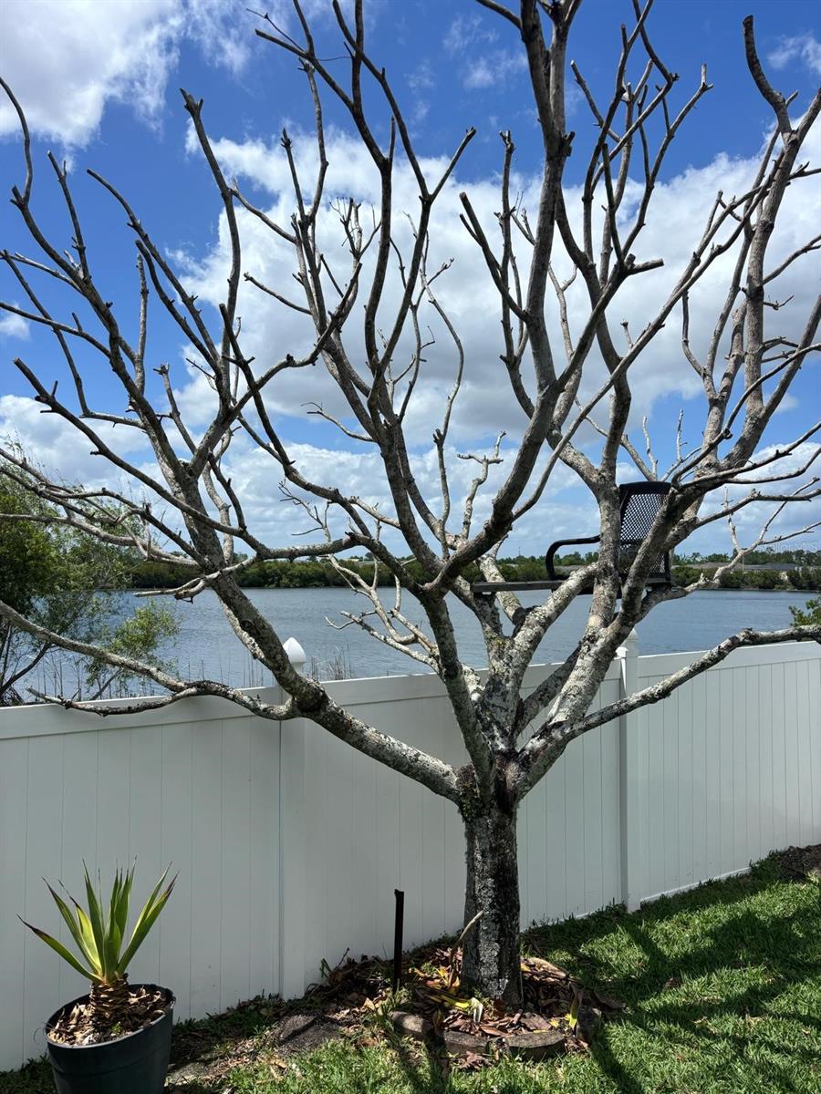 1034 BELLA VIDA BLVD, ORLANDO, FL, 32828