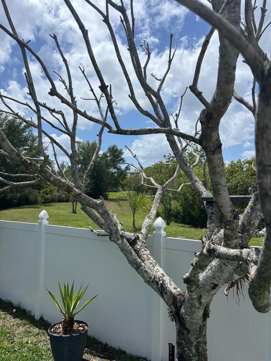 1034 BELLA VIDA BLVD, ORLANDO, FL, 32828