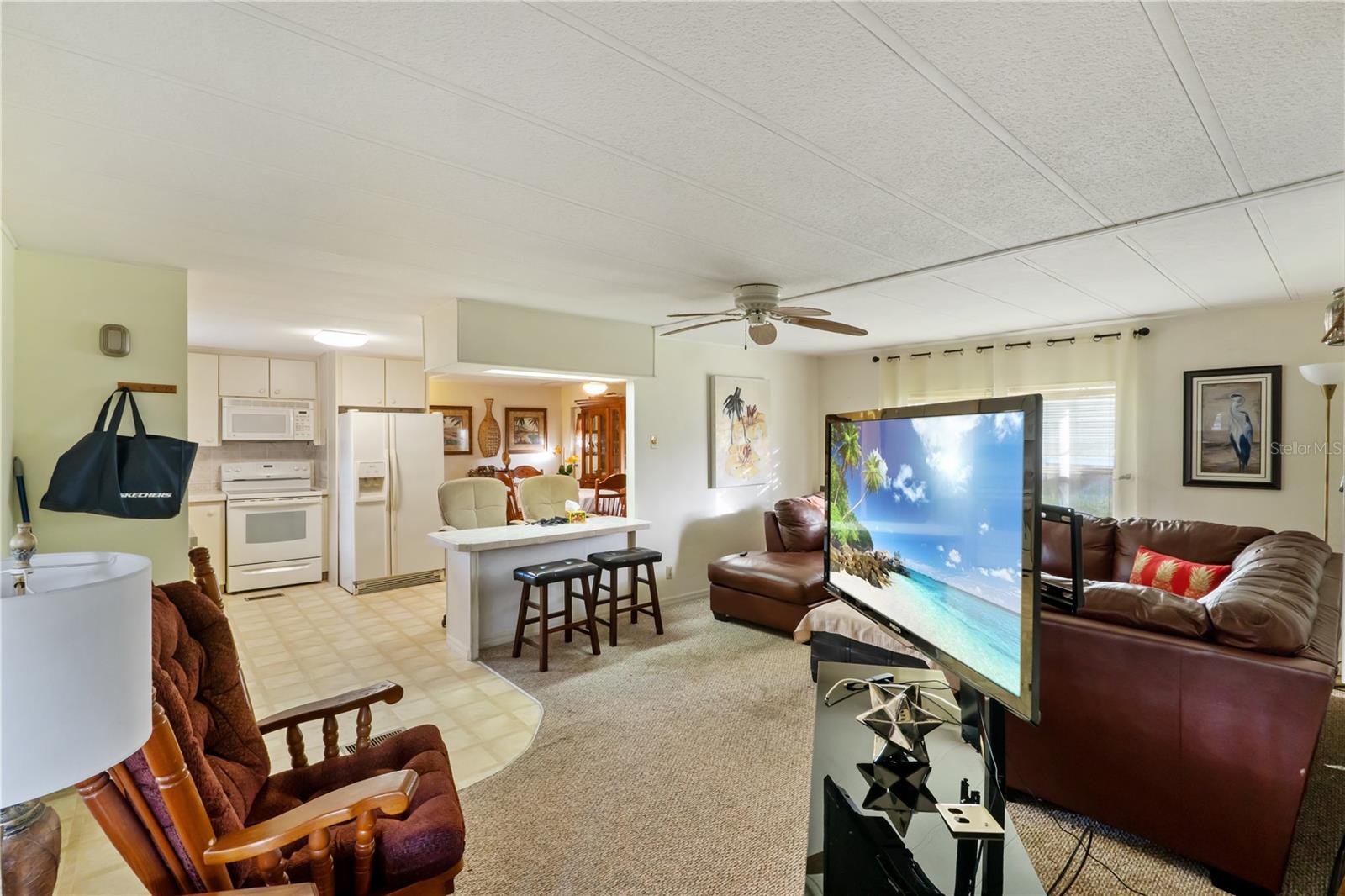 1306 DEBRA DR, THE VILLAGES, FL, 32159