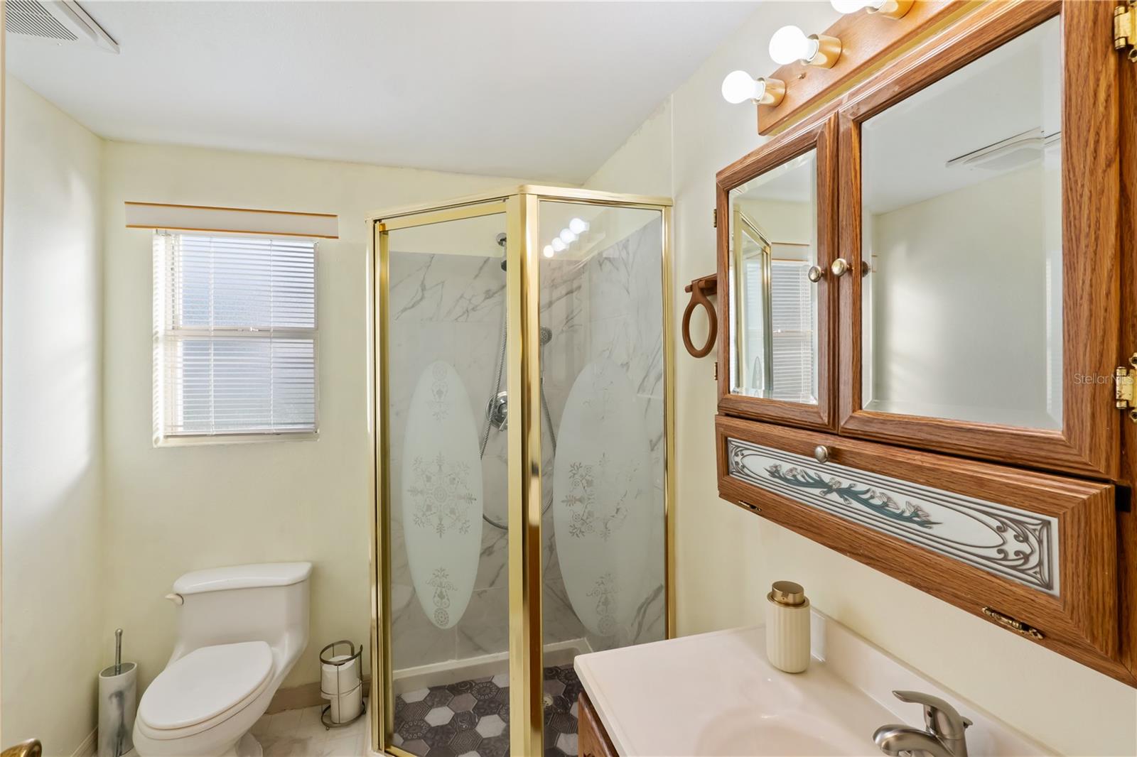 1306 DEBRA DR, THE VILLAGES, FL, 32159