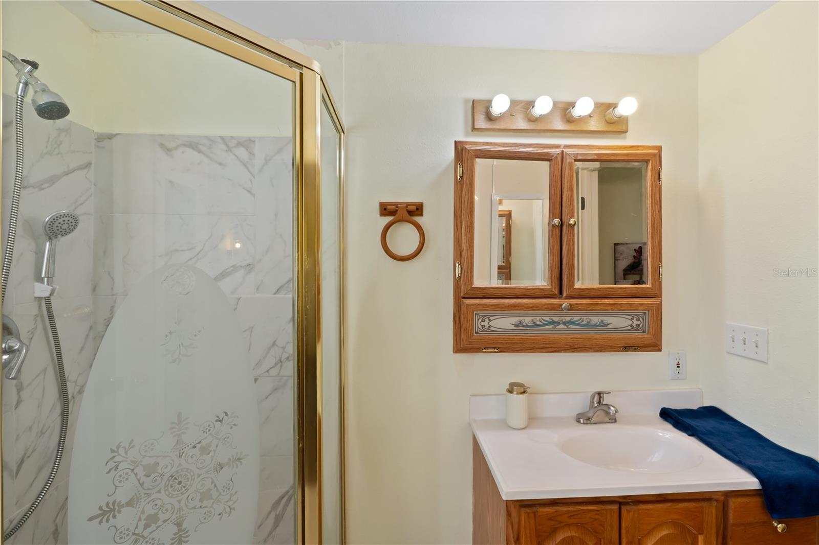 1306 DEBRA DR, THE VILLAGES, FL, 32159