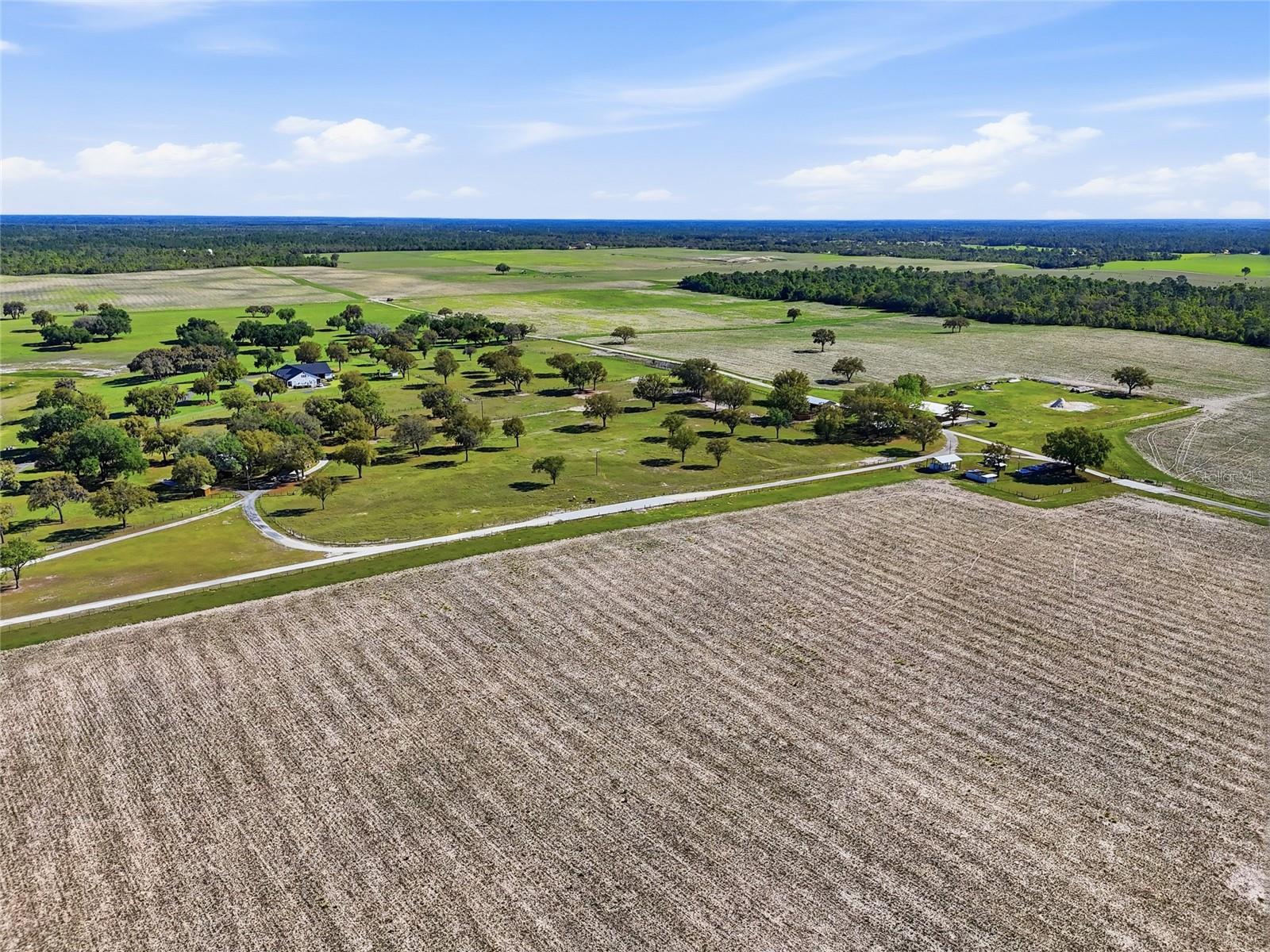 11131 NE 35TH ST, BRONSON, FL, 32621
