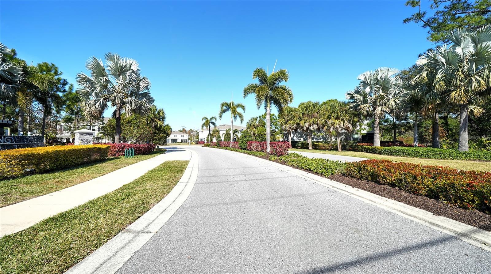 6560 CALYPSO CORAL LN, SARASOTA, FL, 34240