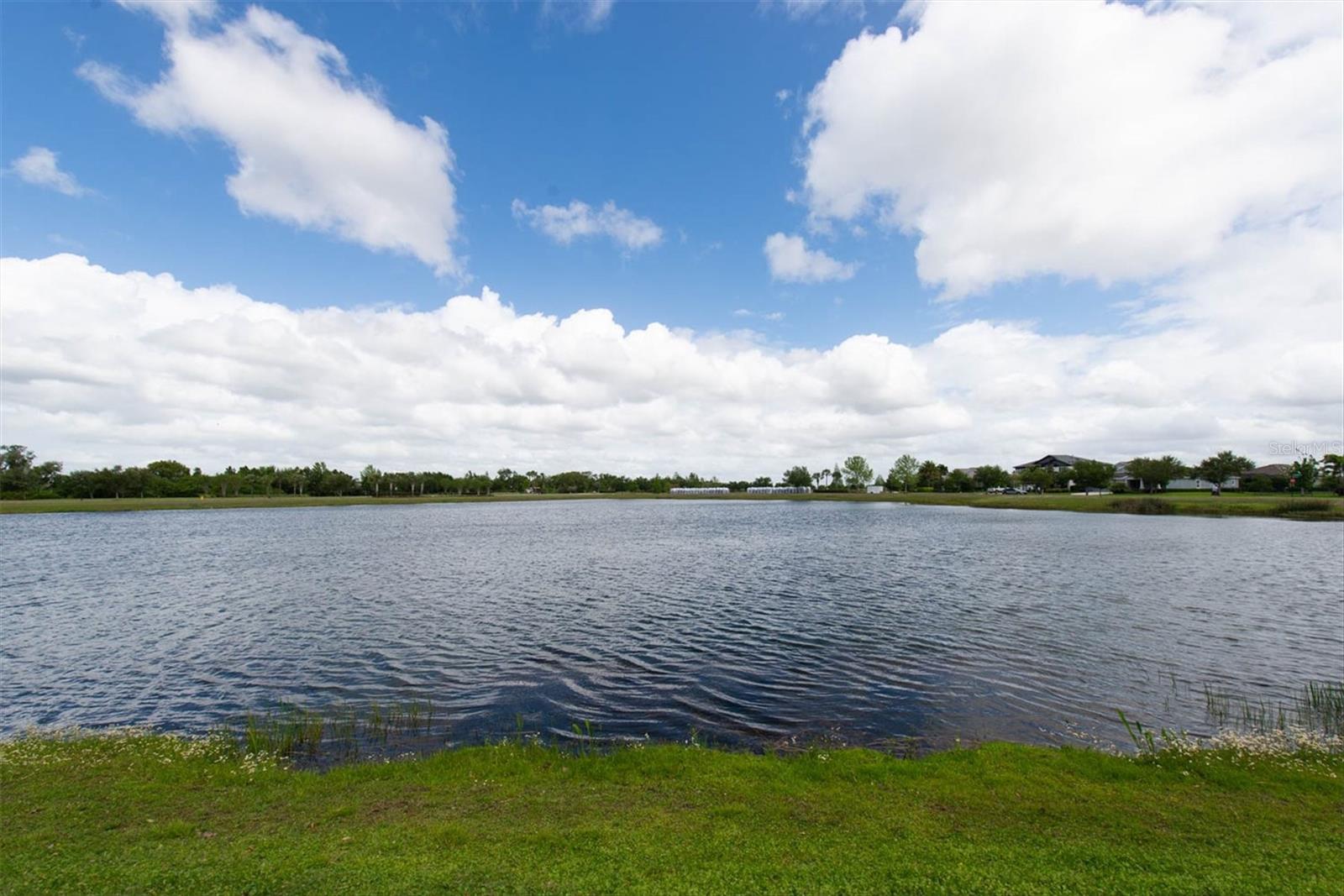 6210 HEIRLOOM PL, APOLLO BEACH, FL, 33572