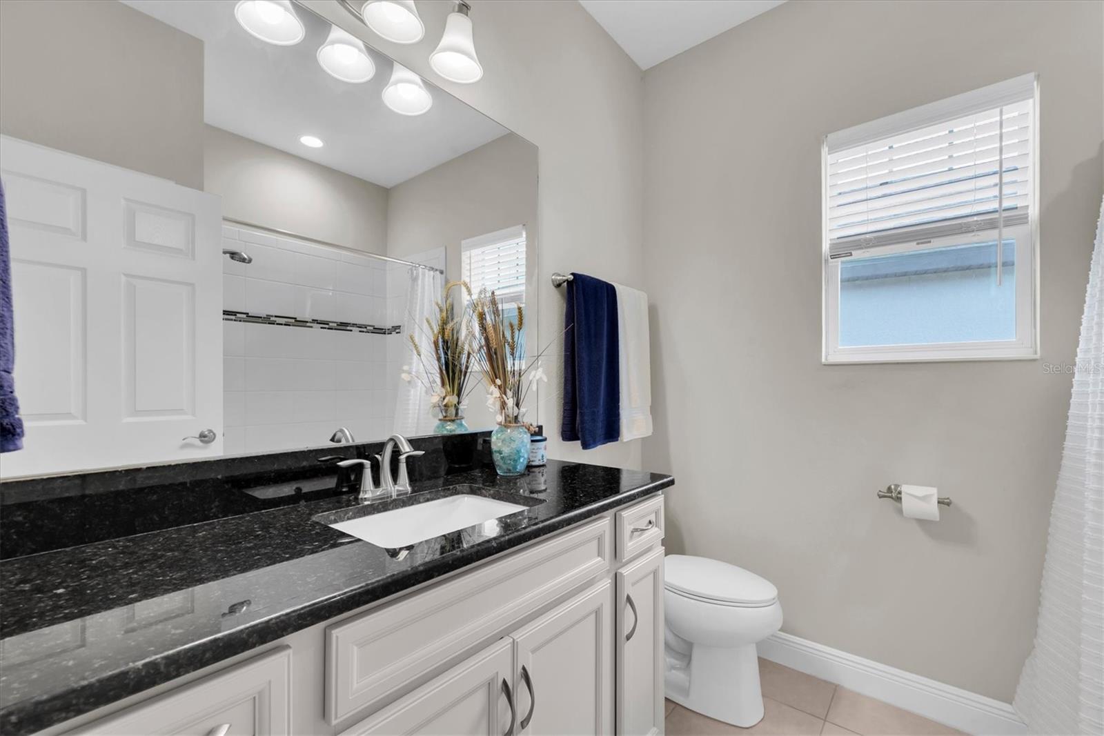 6210 HEIRLOOM PL, APOLLO BEACH, FL, 33572