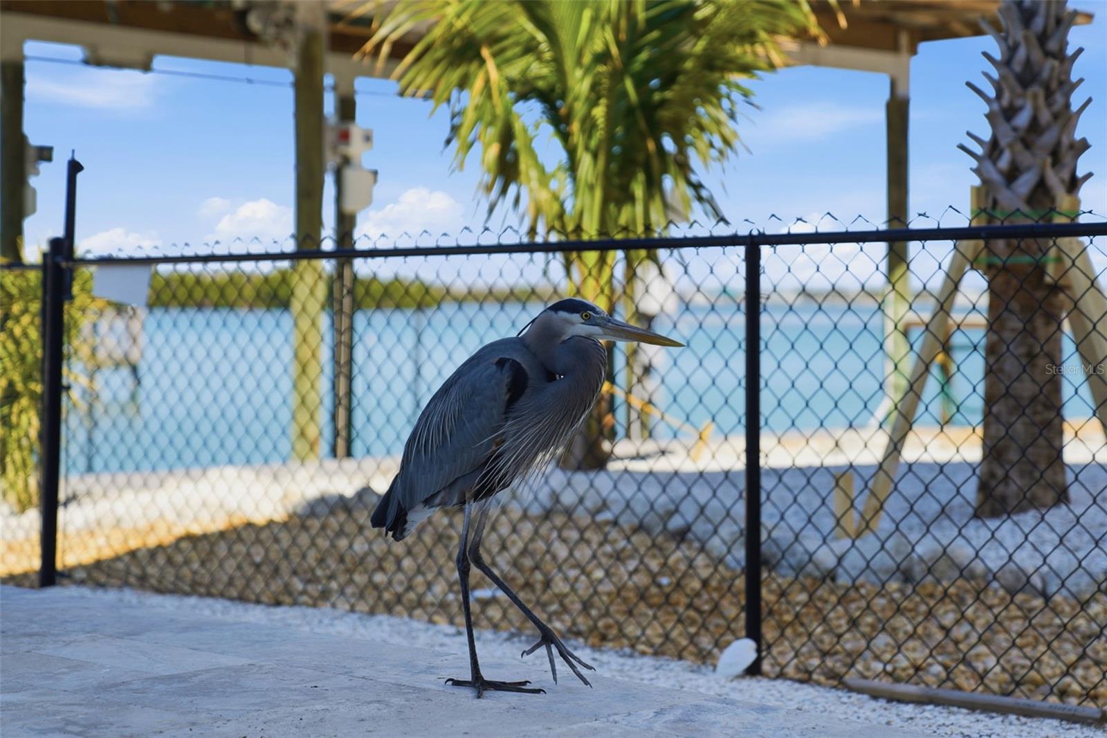 220 MOCKINGBIRD LN, ENGLEWOOD, FL, 34223