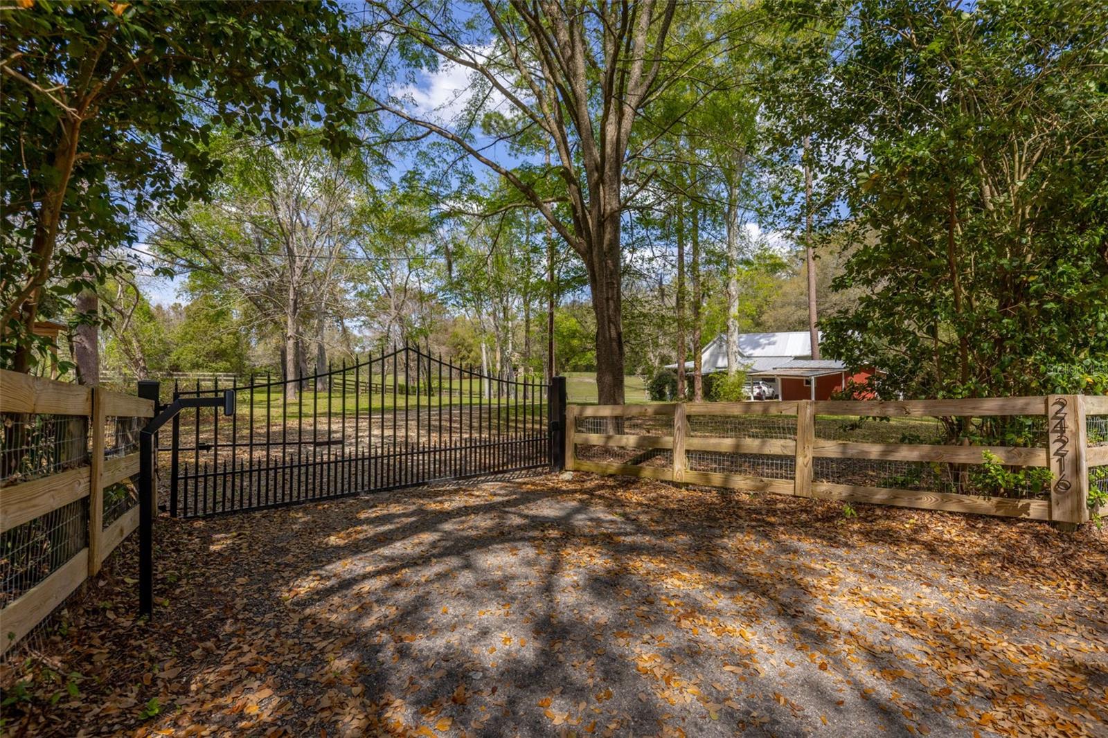 24216 NW 62ND AVE, ALACHUA, FL, 32615