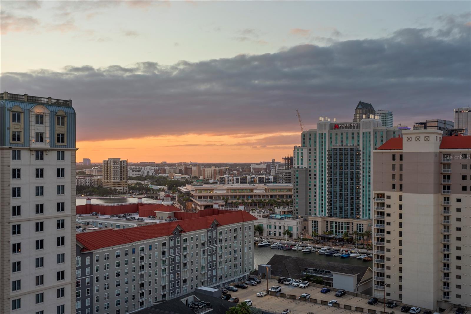 450 KNIGHTS RUN AVE #1901, TAMPA, FL, 33602