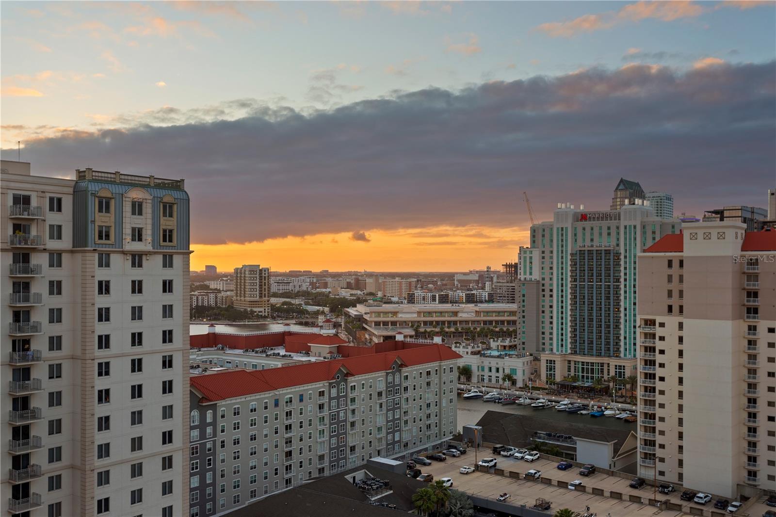 450 KNIGHTS RUN AVE #1901, TAMPA, FL, 33602