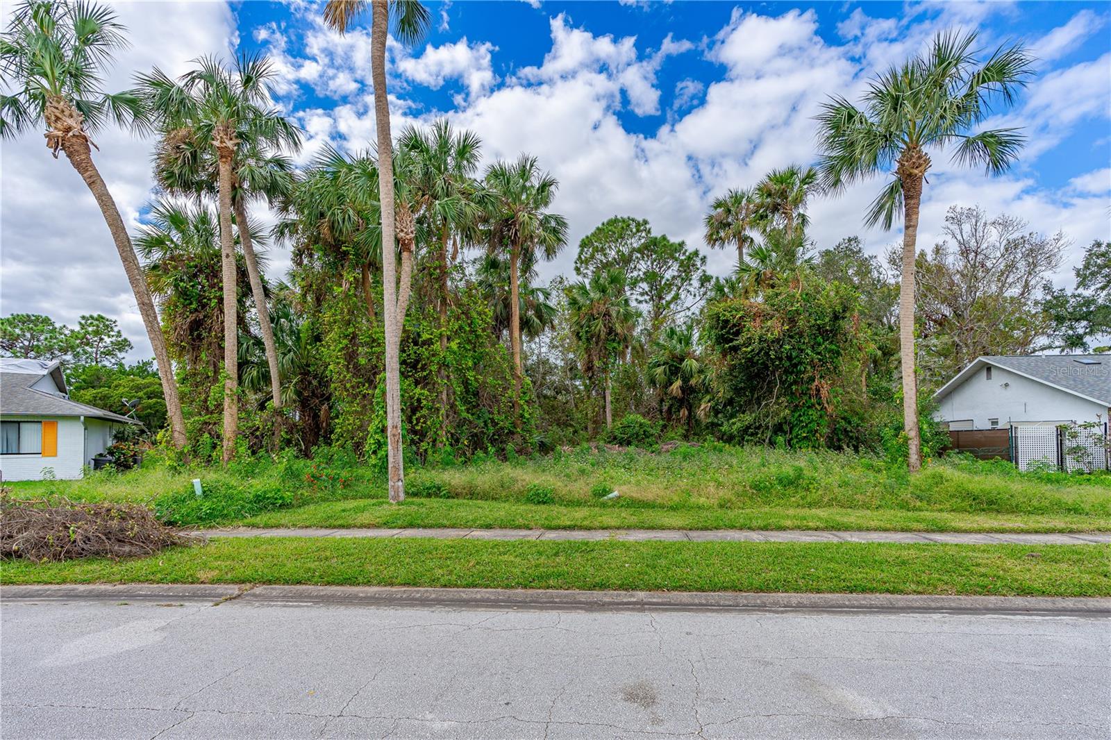 TBD TUMBLEWEED TRAIL, PORT ORANGE, FL, 32127