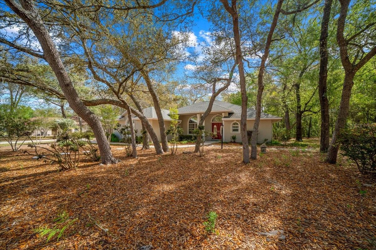 8859 N AMBOY DR, CITRUS SPRINGS, FL, 34433