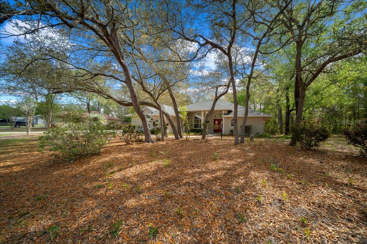 8859 N AMBOY DR, CITRUS SPRINGS, FL, 34433