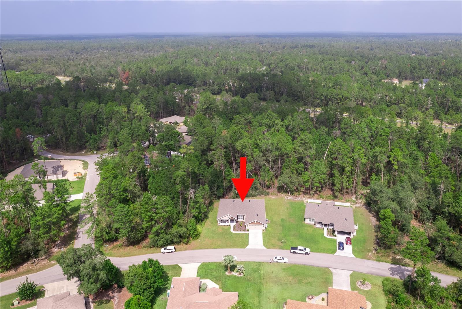 71 BELLS OF IRELAND CT, HOMOSASSA, FL, 34446