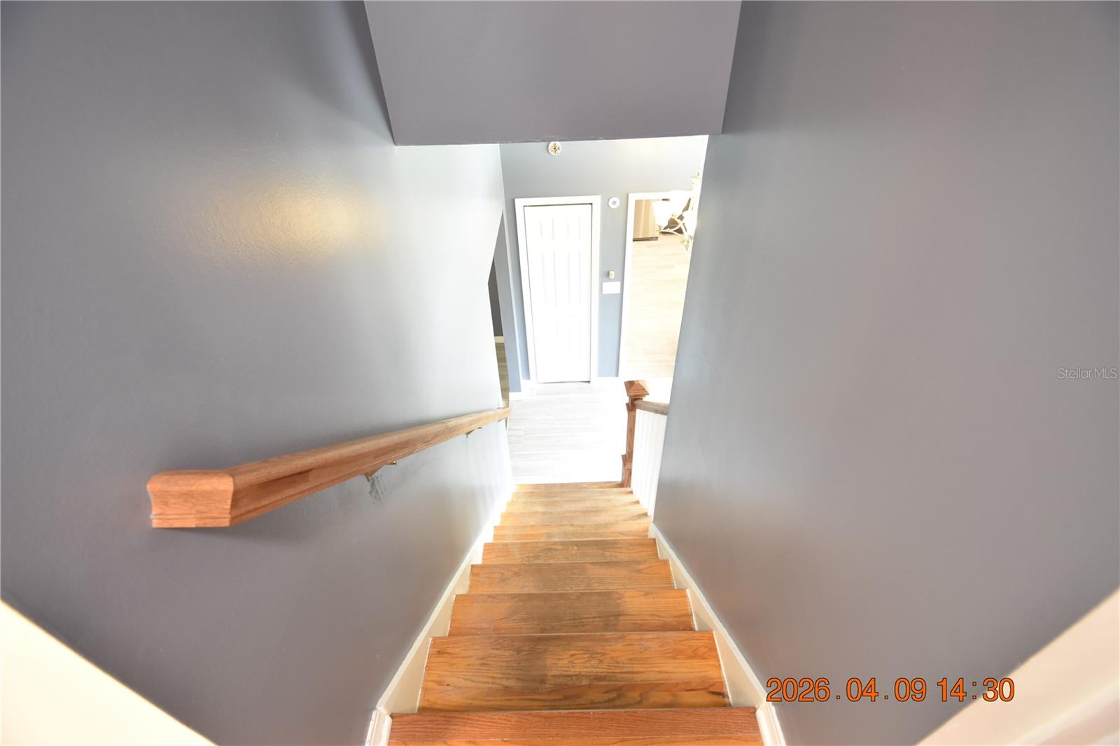 8402 BLACKSTONE CT, TAMPA, FL, 33615