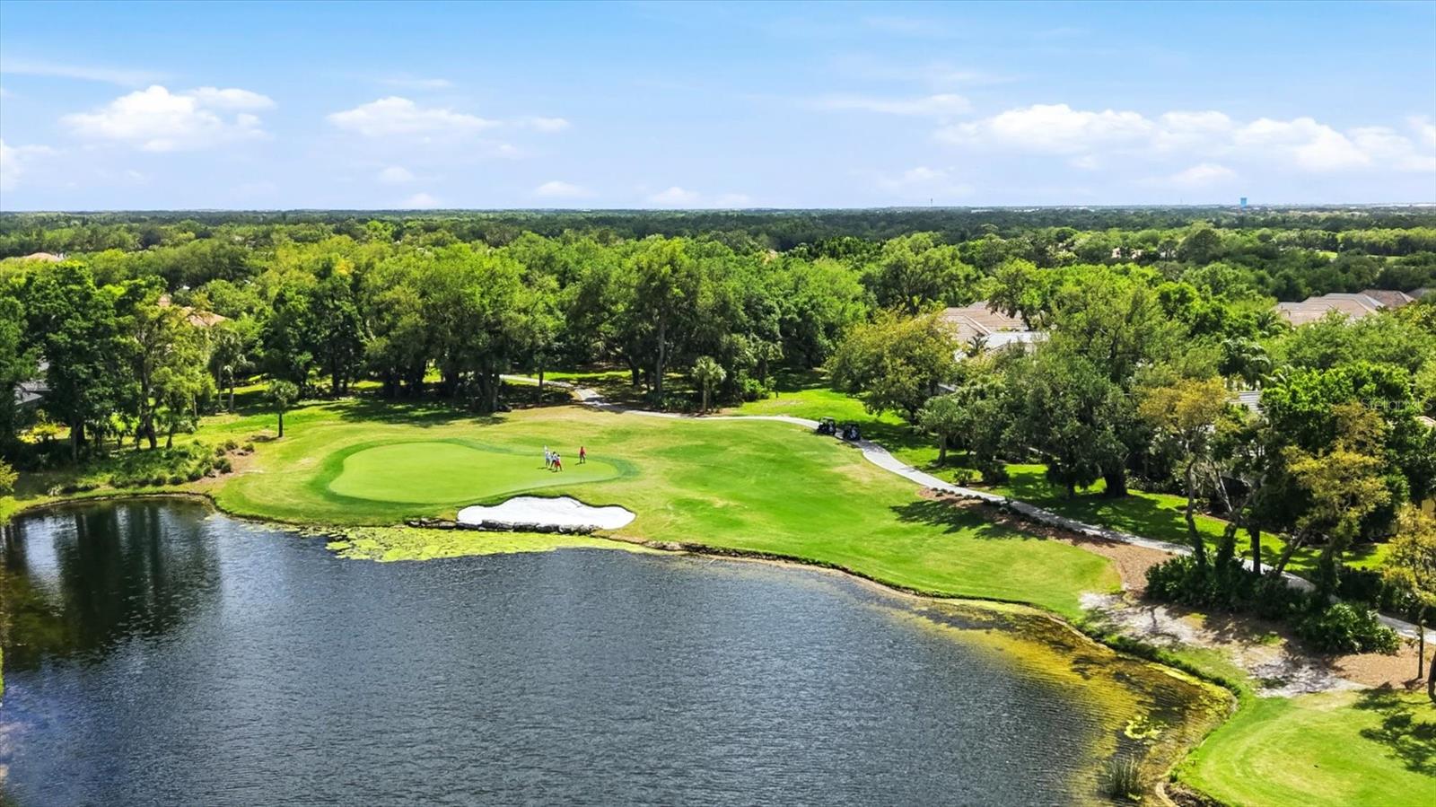 12323 THORNHILL CT, LAKEWOOD RANCH, FL, 34202