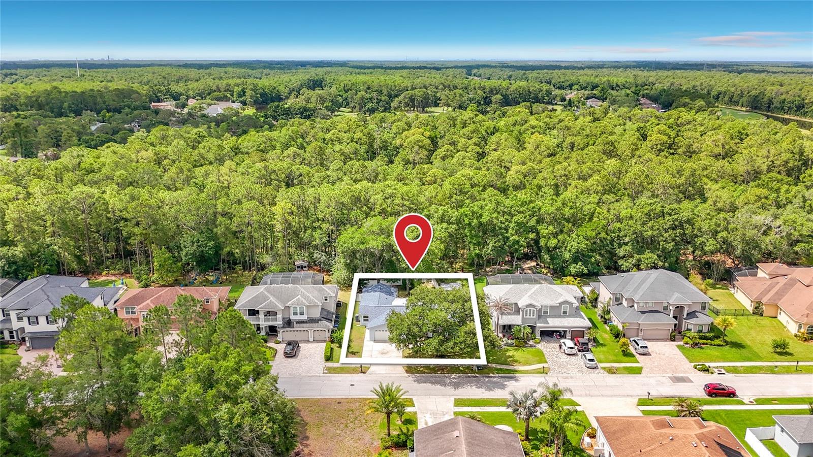 12912 STARLING DR, ODESSA, FL, 33556