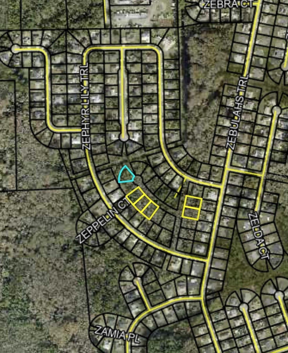 XXXX Z SECTION, PALM COAST, FL, 32137