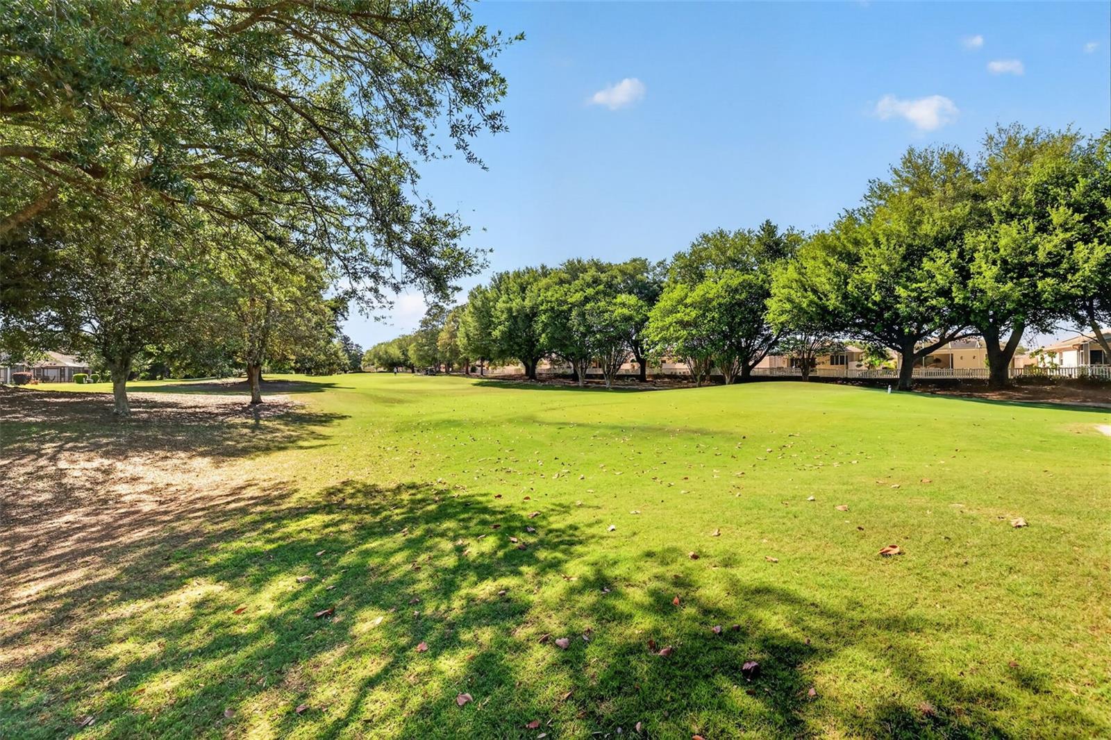 2160 MADERO DR, THE VILLAGES, FL, 32159